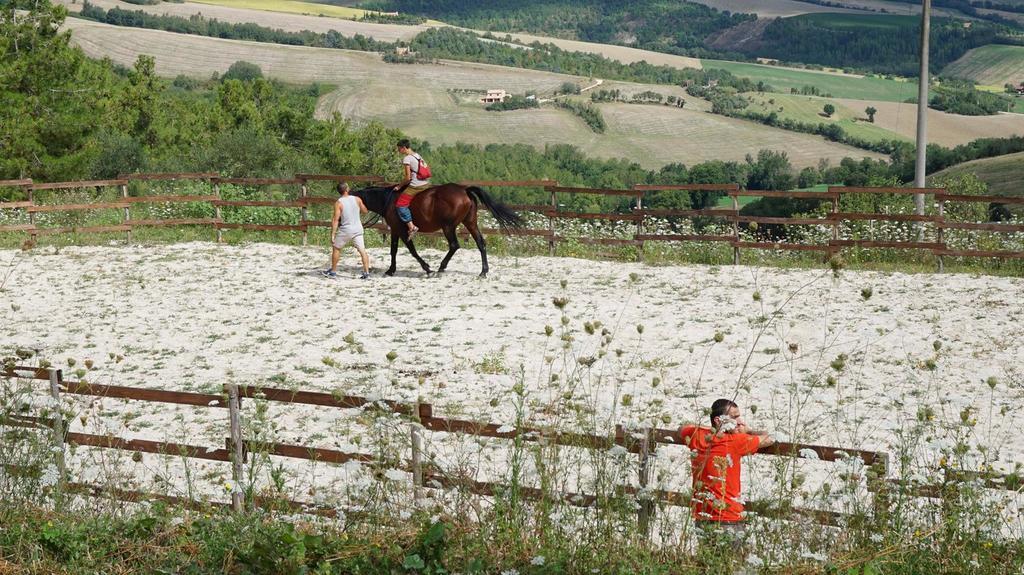 Tenuta Gran Bosco Loro Piceno Esterno foto