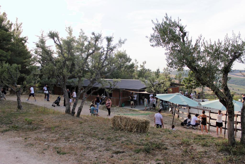 Tenuta Gran Bosco Loro Piceno Esterno foto