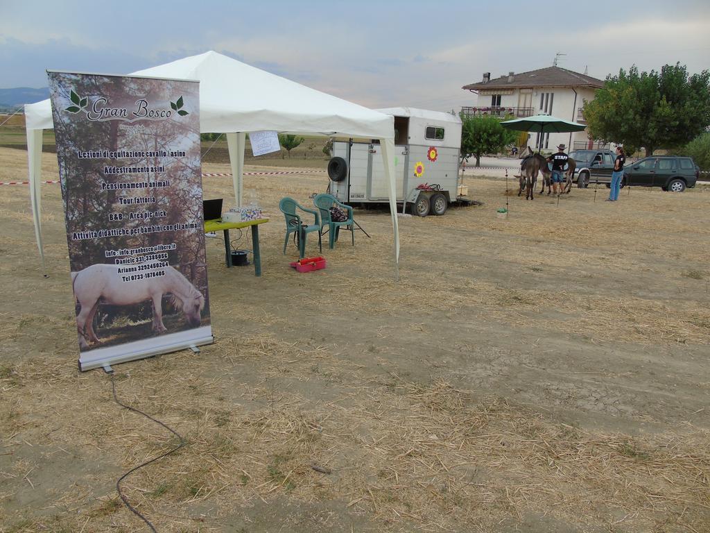Tenuta Gran Bosco Loro Piceno Esterno foto