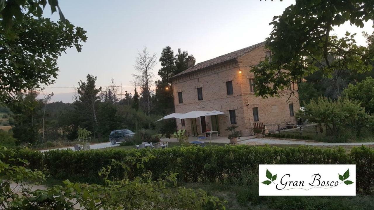Tenuta Gran Bosco Loro Piceno Esterno foto